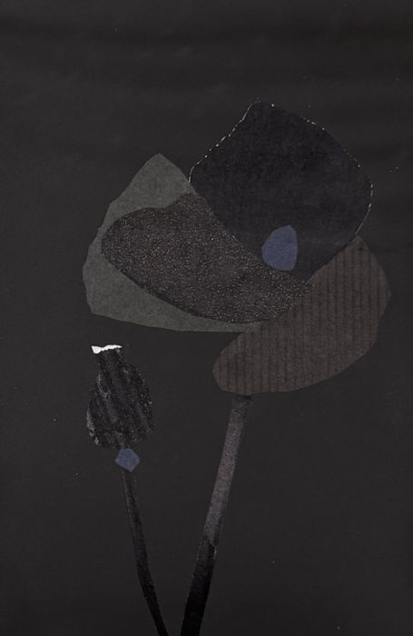 Poppy and poppy bud in black