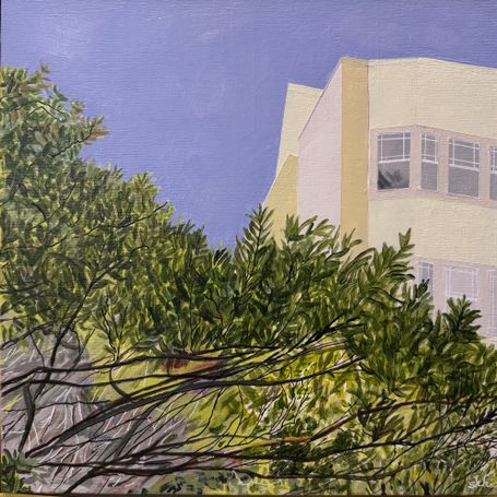 View out the back of a private residence on Francisco Street in the Marina.