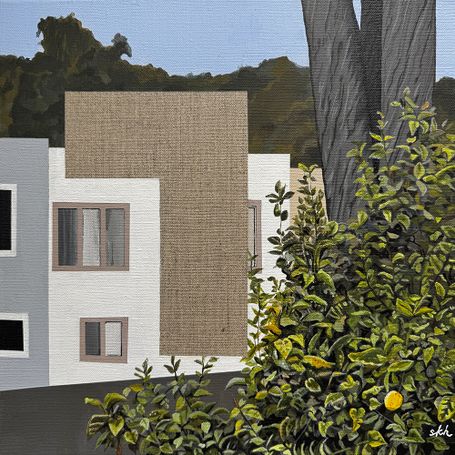 Residential buildings in back, lemon tree in front, void in the middle.