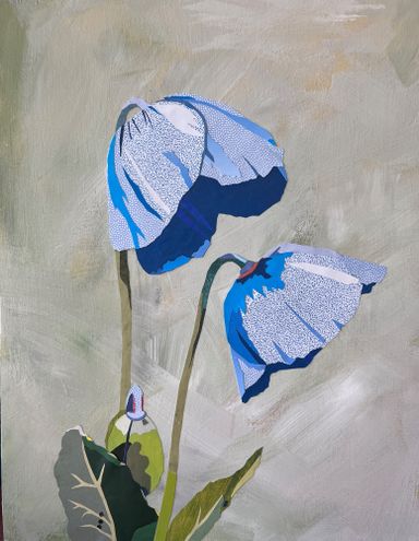 Two blue poppies in profile